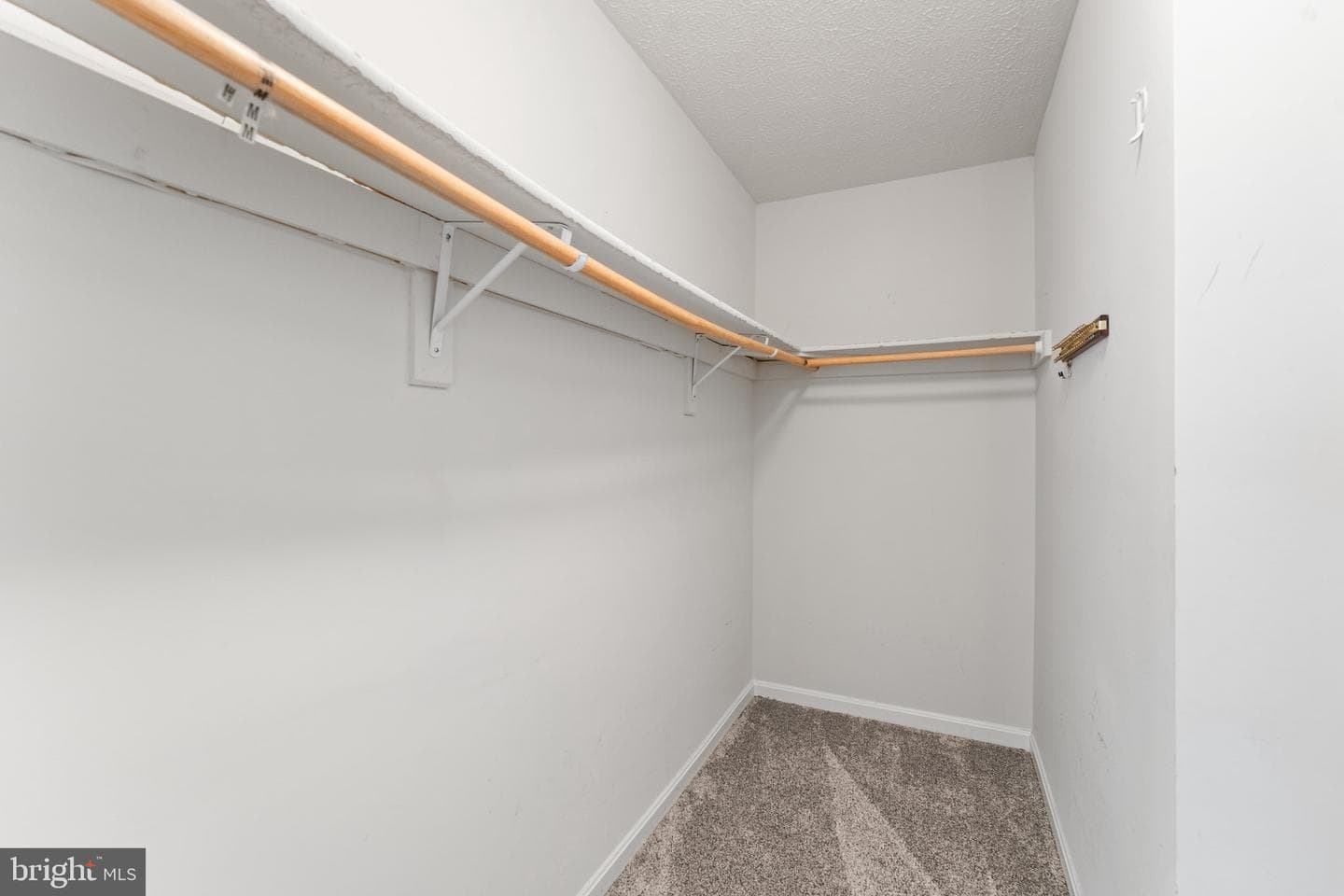 135 Hobbs Hole Lane photo 18