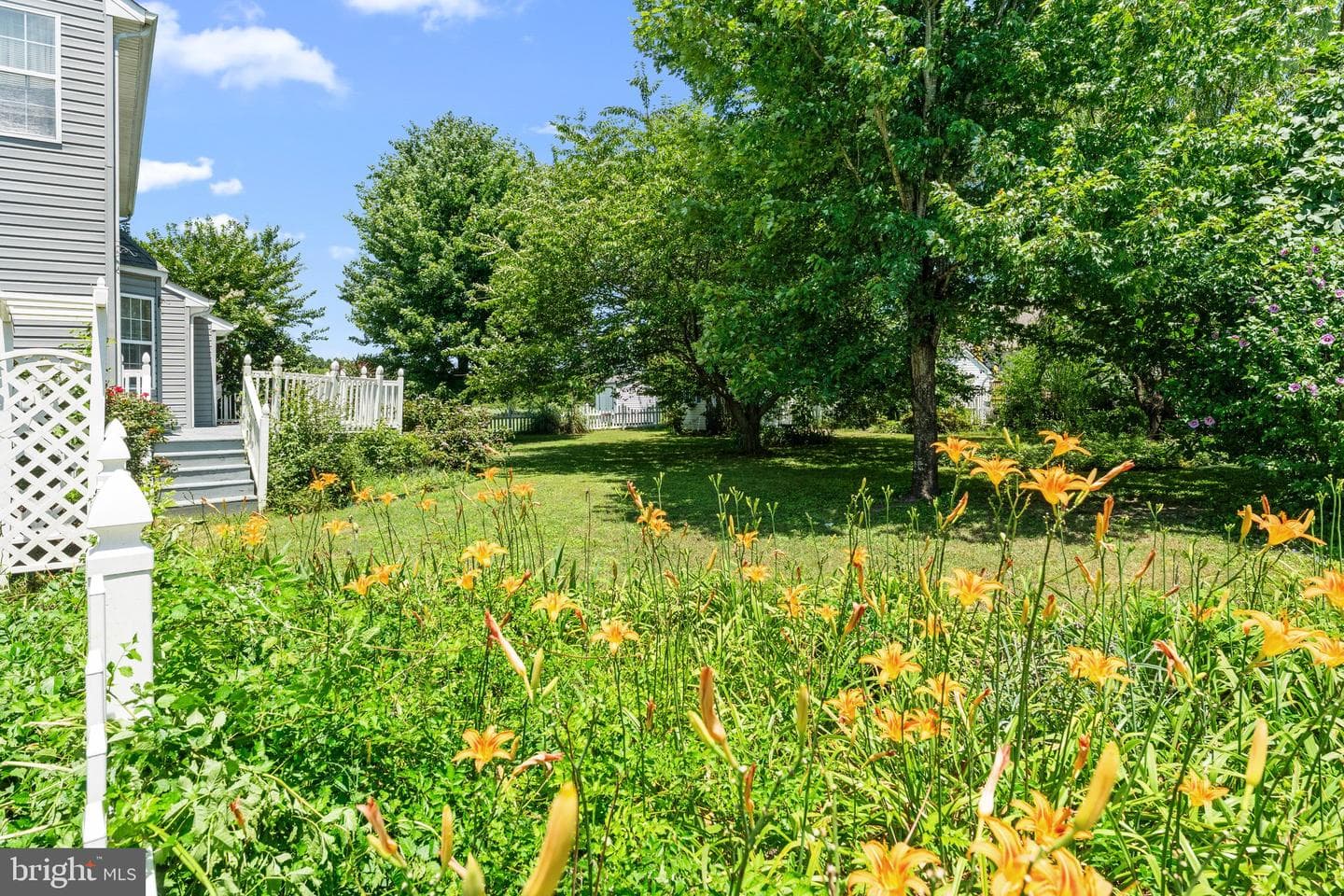 135 Hobbs Hole Lane photo 6