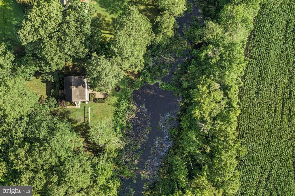 491 Maryfox Rd photo 6