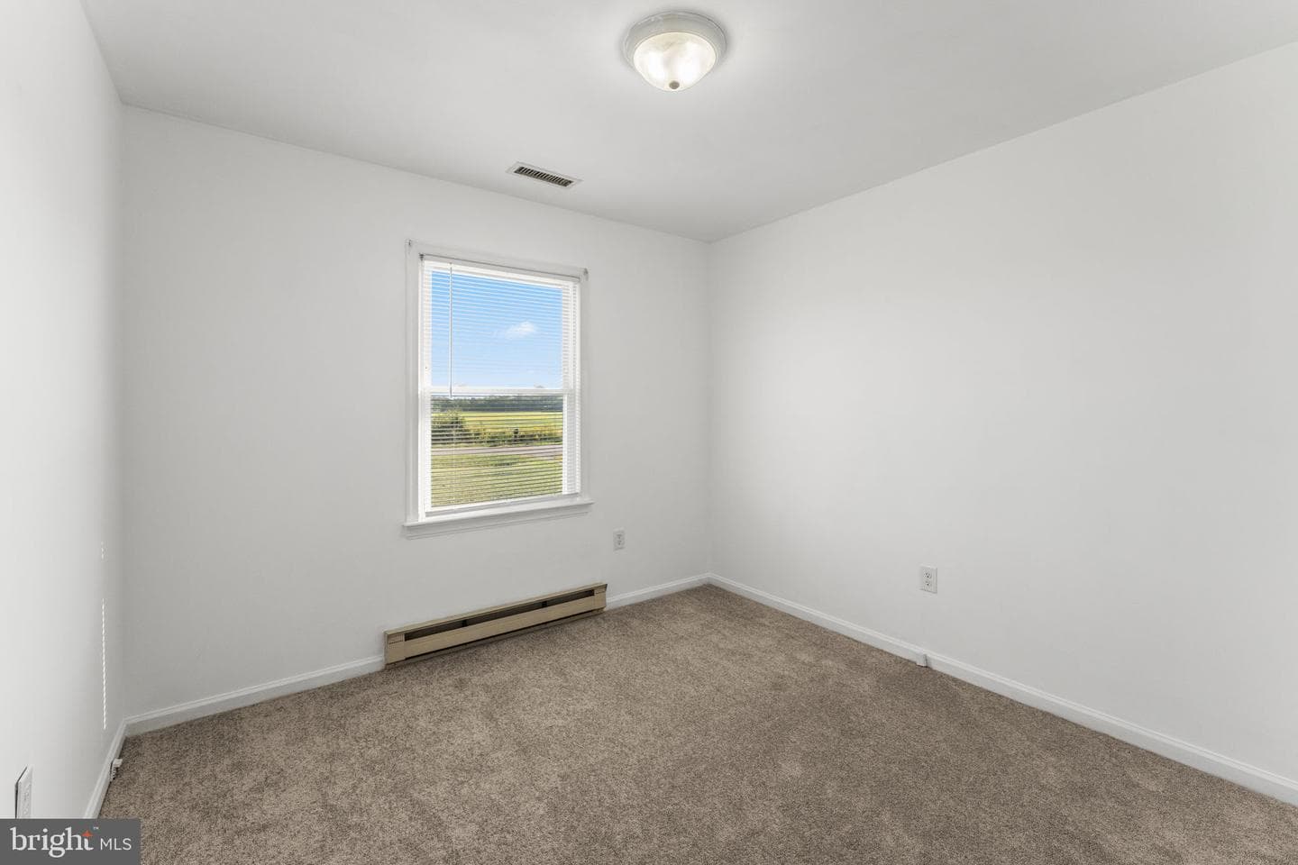 1591 Mt. Landing Road photo 10