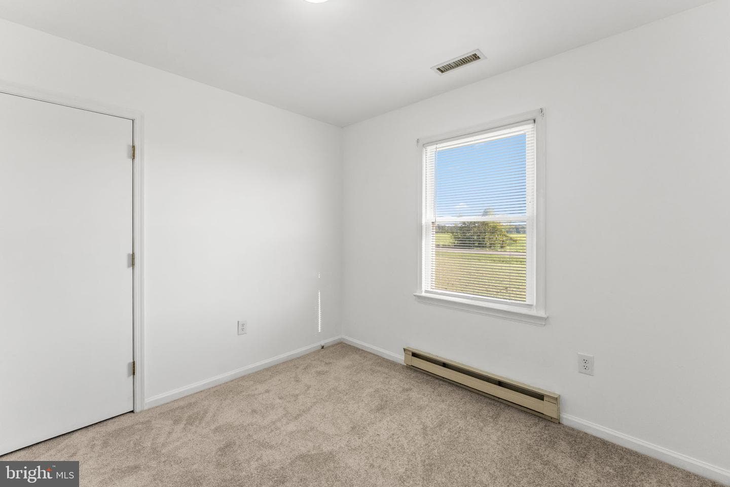 1591 Mt. Landing Road photo 11
