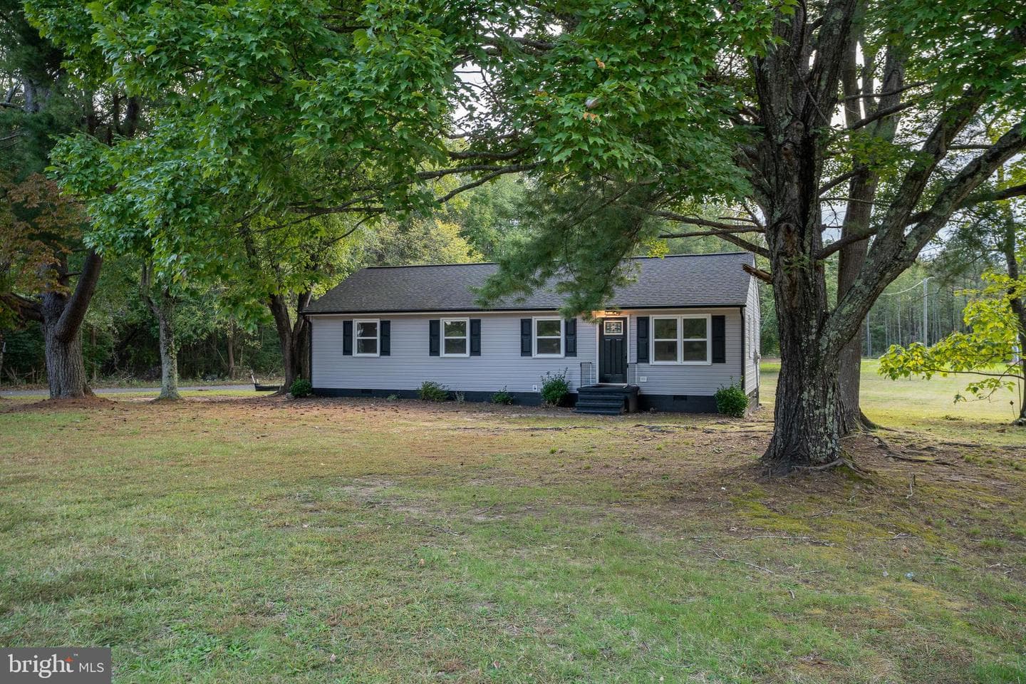 10558 Tidewater Trail photo 2