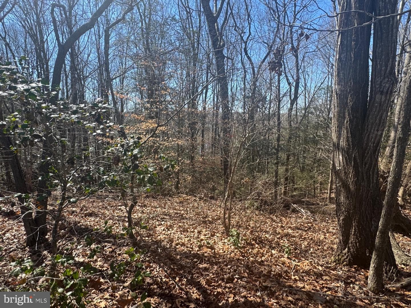 388 Berry Ridge Road photo 23
