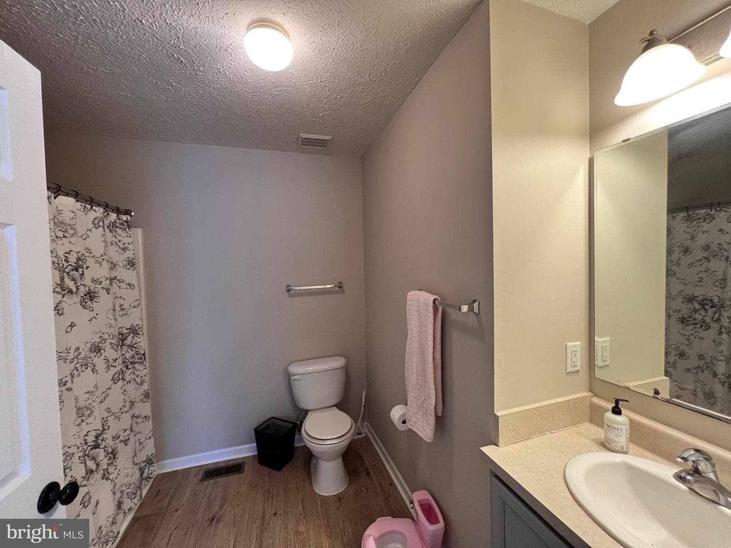 1127 Settlers Landing Drive #47 photo 26