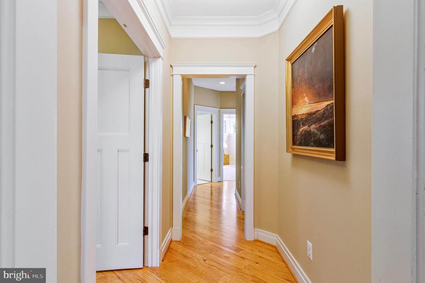 206 Patterson Street photo 30