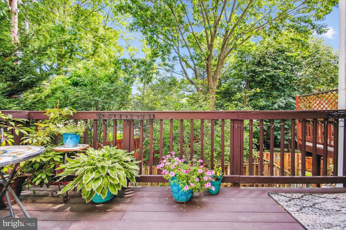 135 Rees Place photo 53