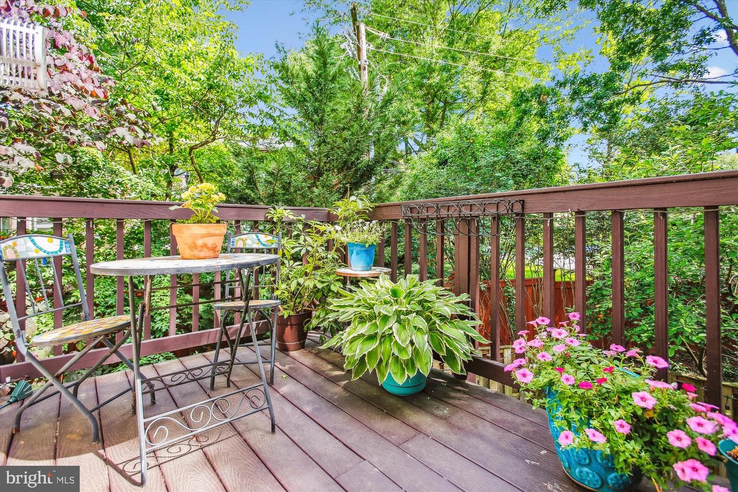 135 Rees Place photo 54