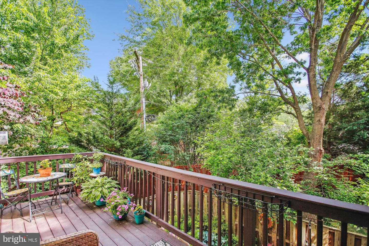 135 Rees Place photo 55