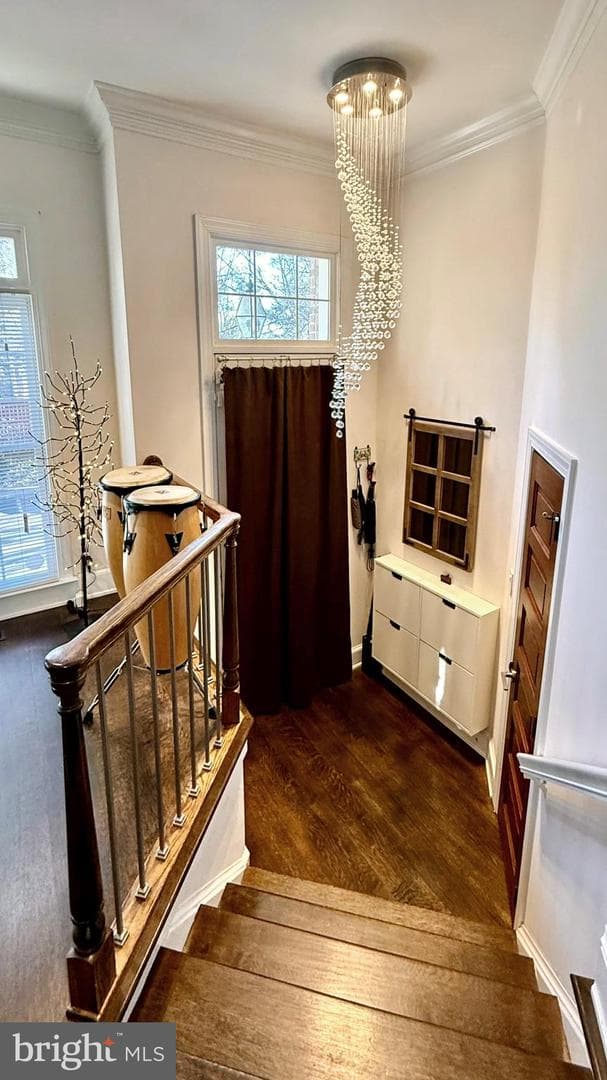128 Rees Place photo 8