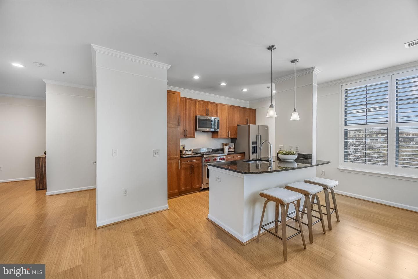 444 W Broad Street W #307 photo 12