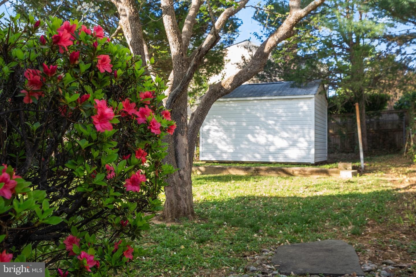 304 Rollins Street photo 32