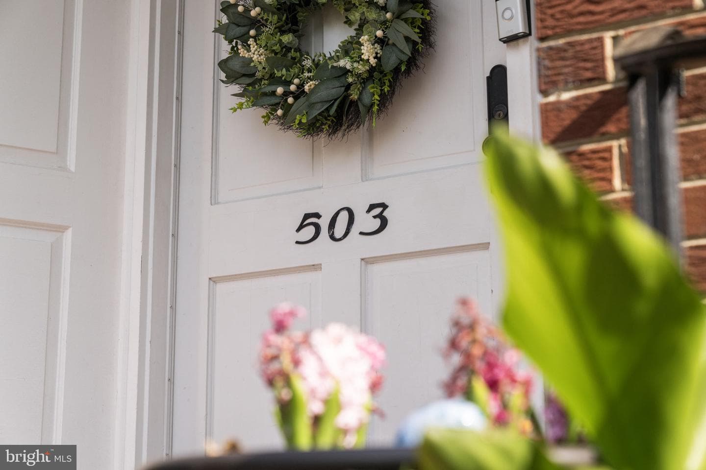 503 Dorchester Road photo 47