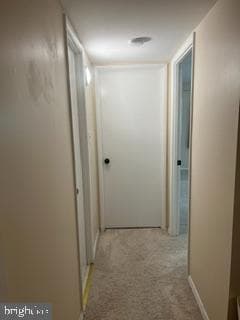 142 Birch St # C-5 photo 10