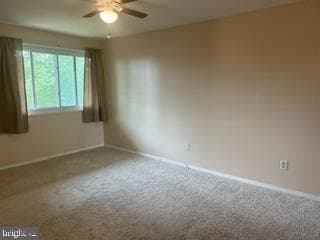 142 Birch St # C-5 photo 11