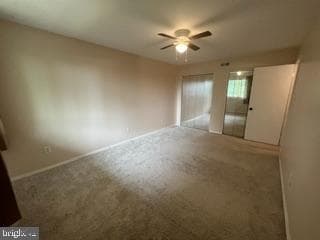 142 Birch St # C-5 photo 12