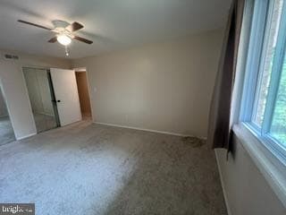 142 Birch St # C-5 photo 13