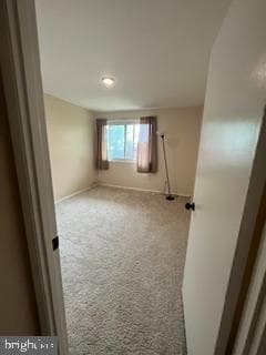 142 Birch St # C-5 photo 14