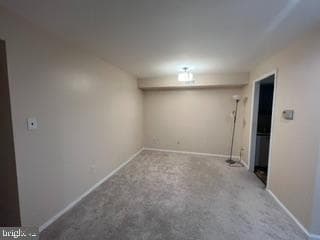 142 Birch St # C-5 photo 8