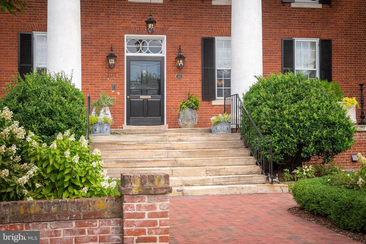 307 Amelia Street photo 4