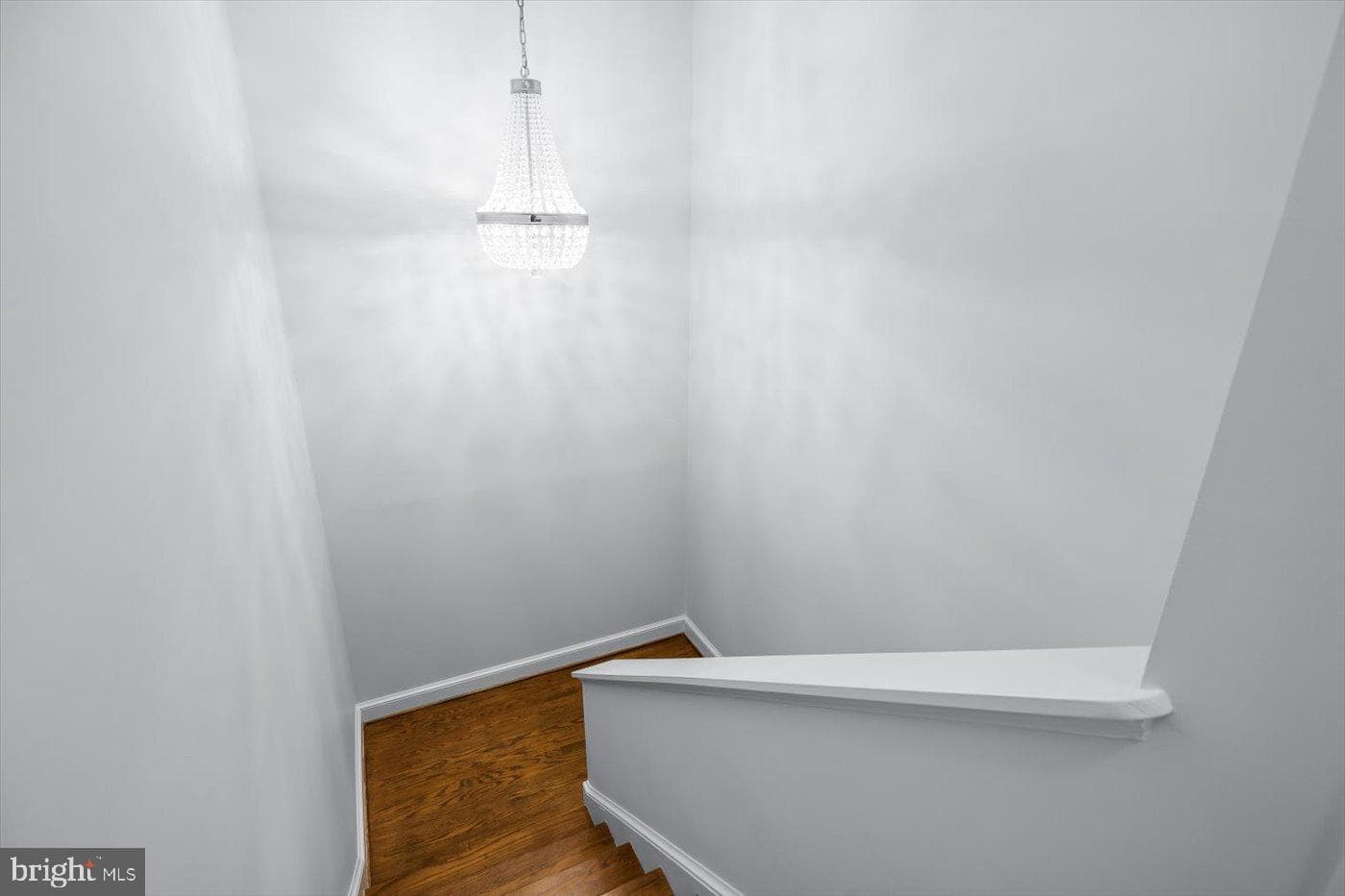 1011 Charles Street #5 photo 43