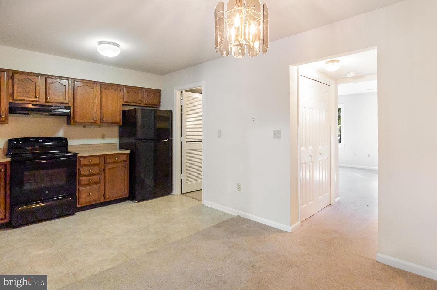 210 Farrell Lane photo 6