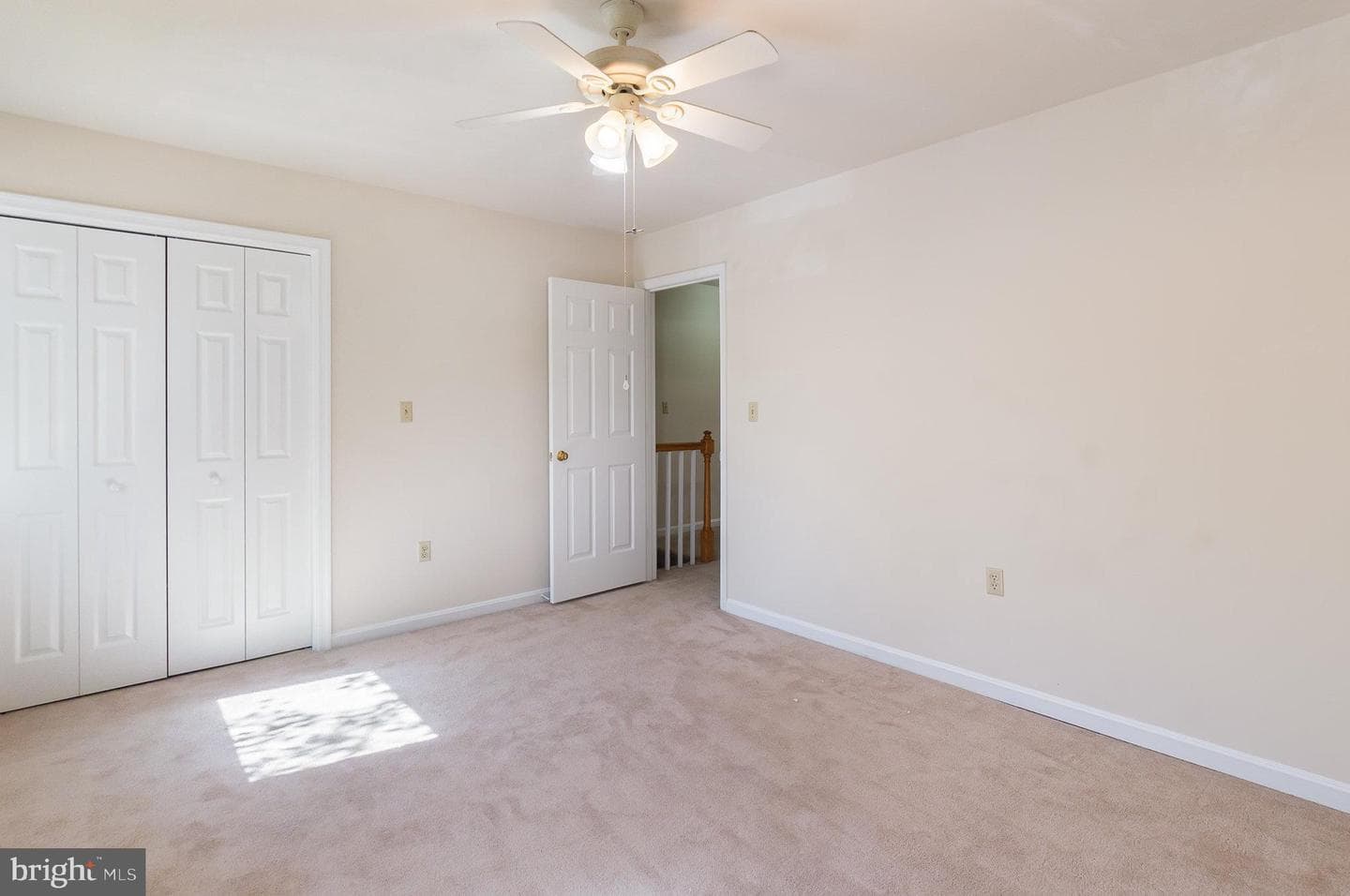 210 Farrell Lane photo 9