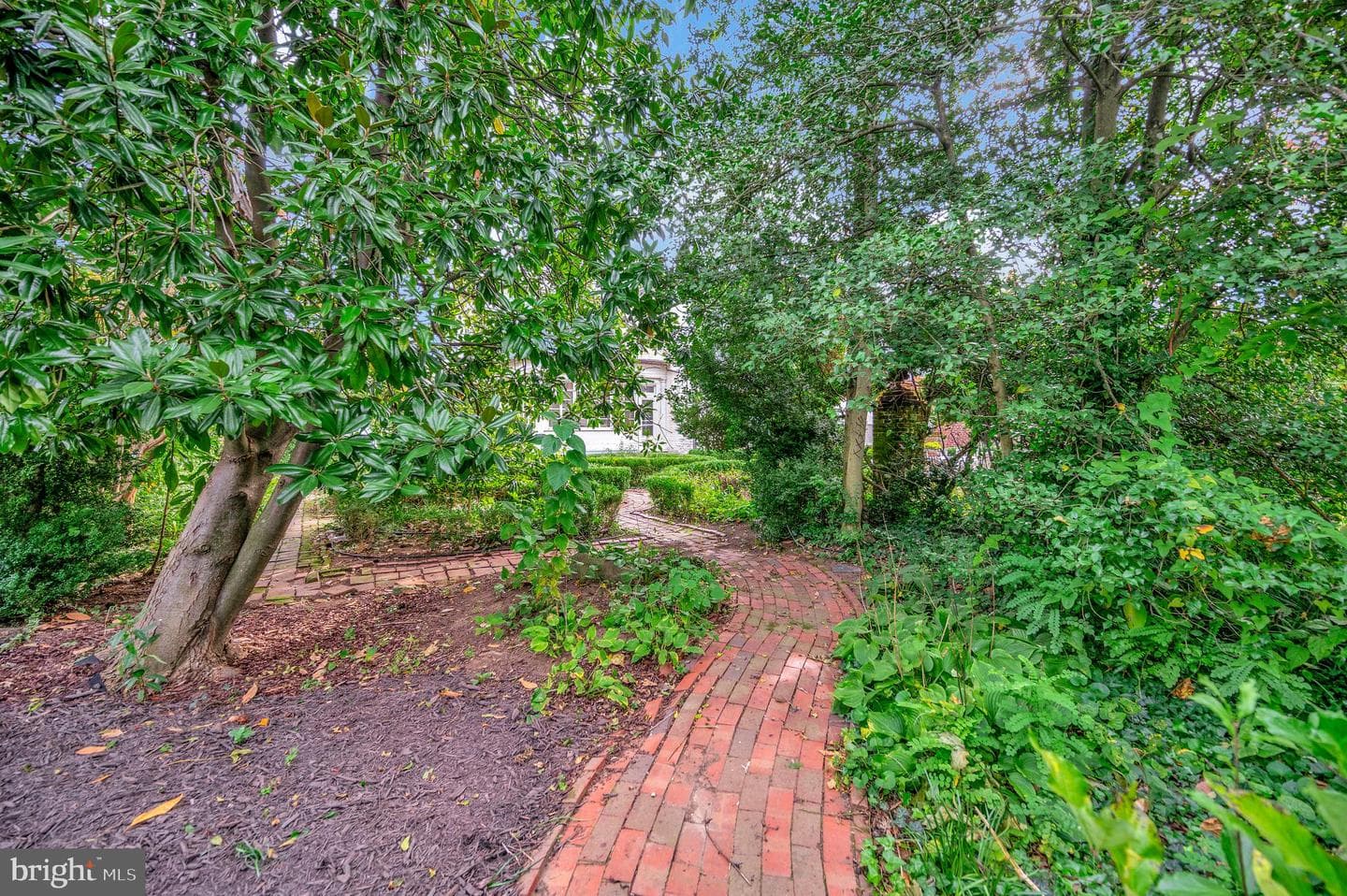 214 Caroline Street photo 65