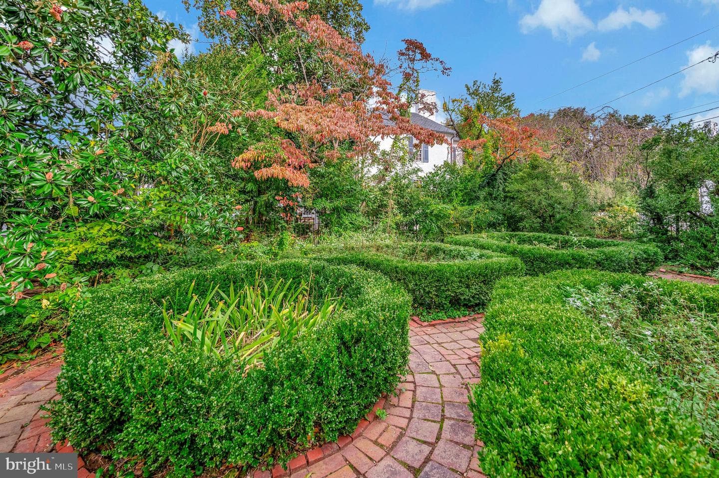 214 Caroline Street photo 67