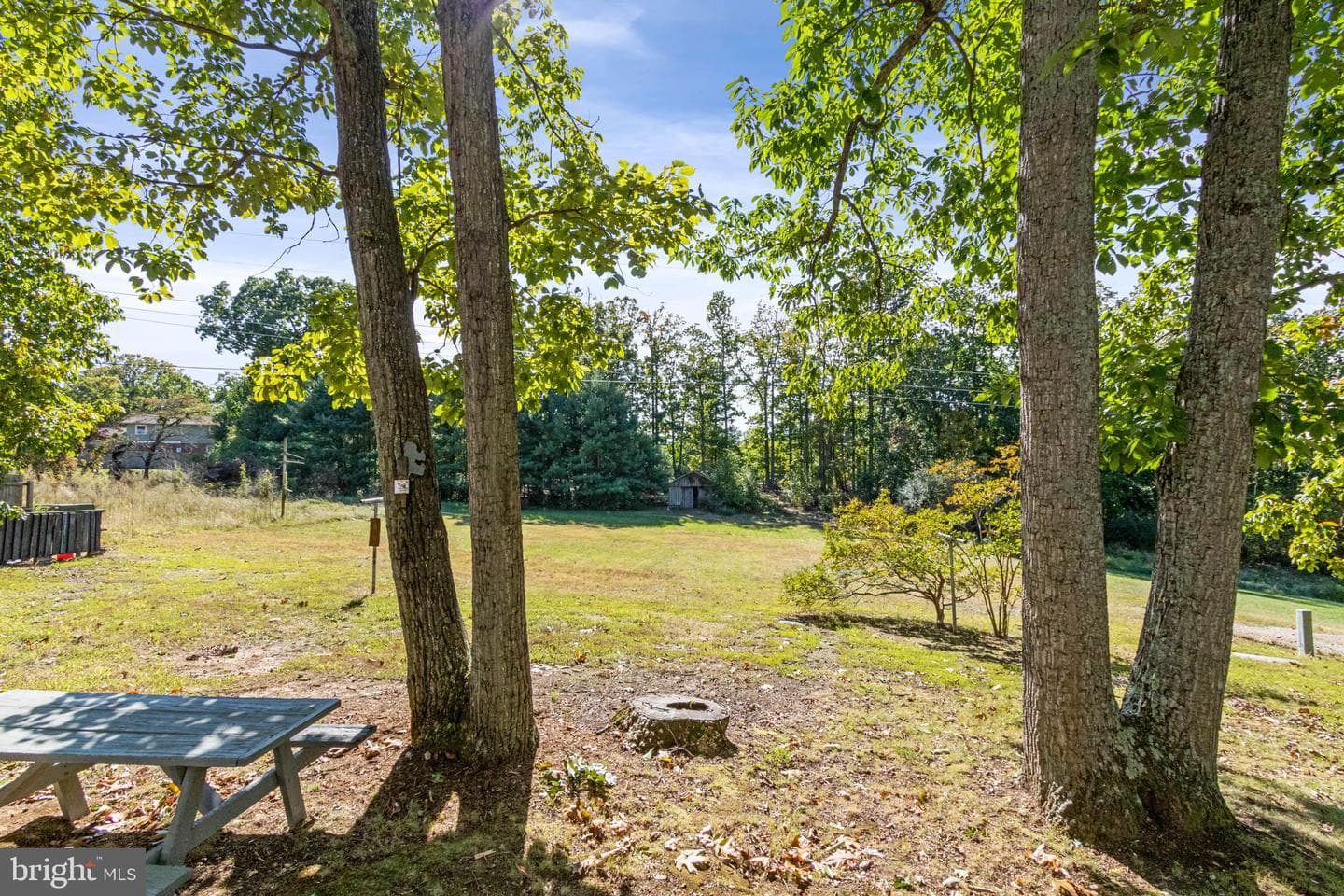 306 Braehead Drive photo 53
