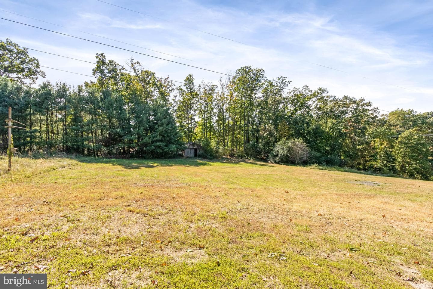 306 Braehead Drive photo 54