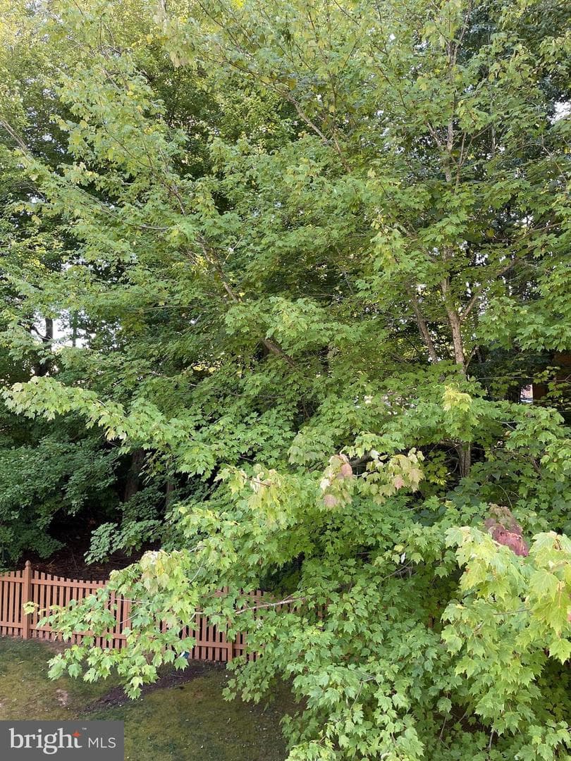 1202 Century Oak Drive photo 49