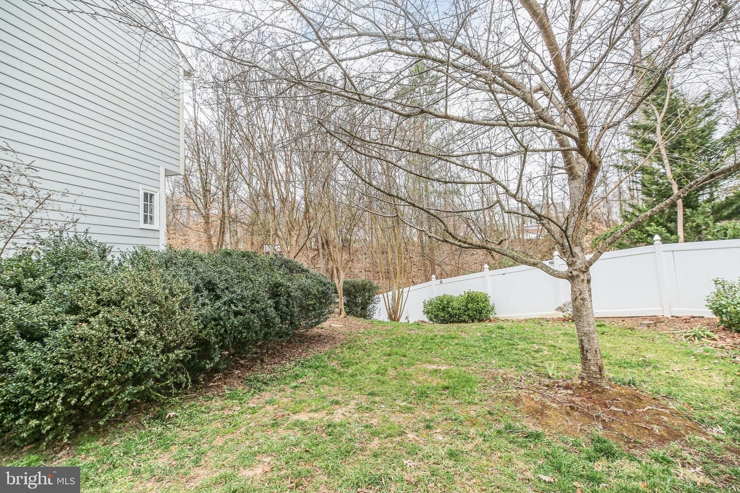 1010 Raymond Court photo 59