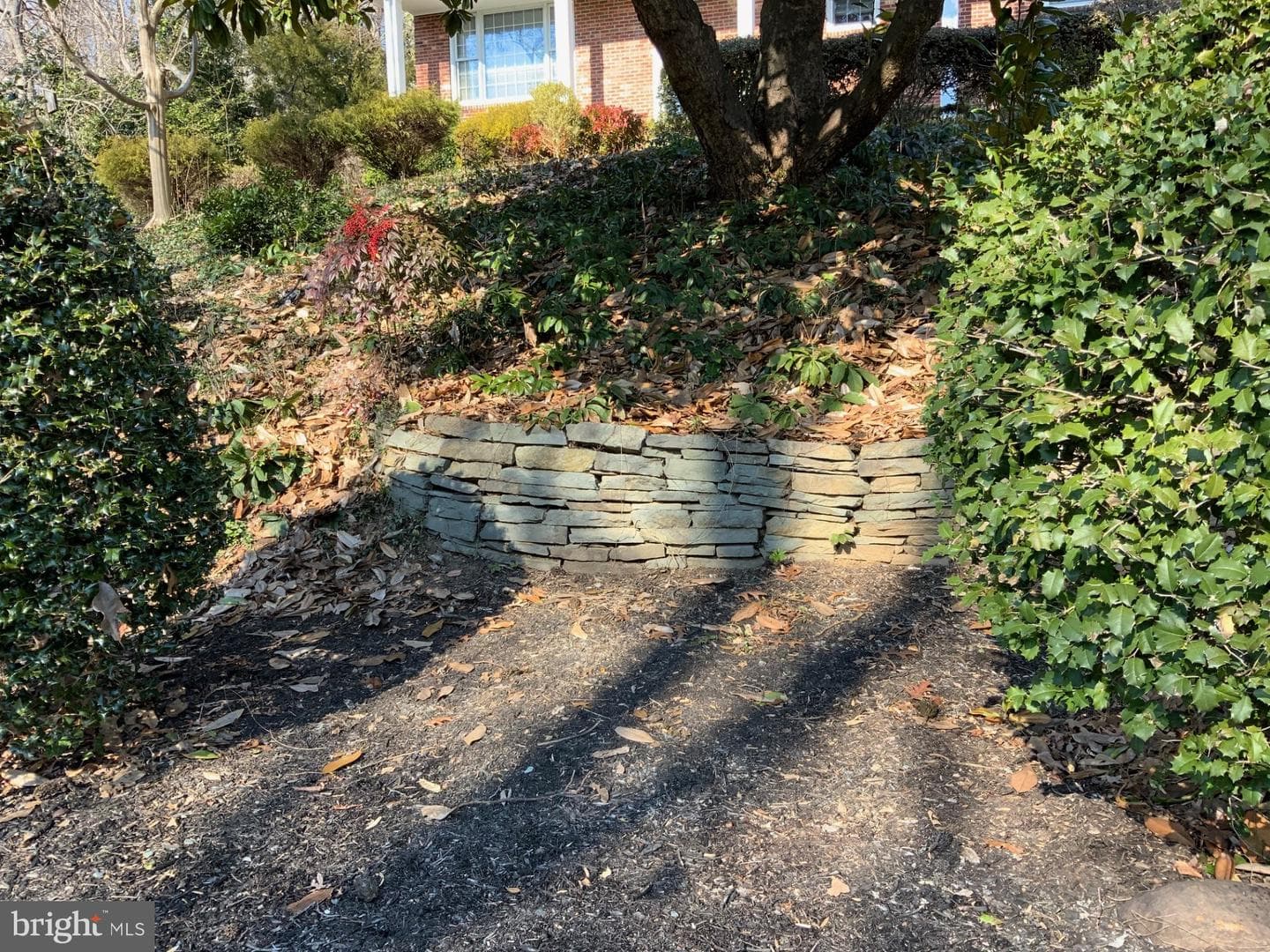 1803 Genther Lane photo 41