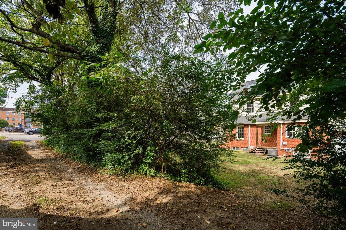 918 William Street photo 61