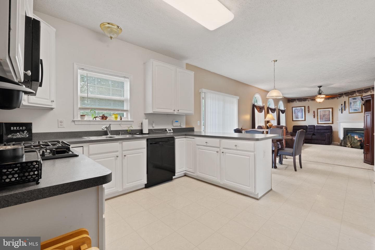 1002 Black Oak Court photo 18