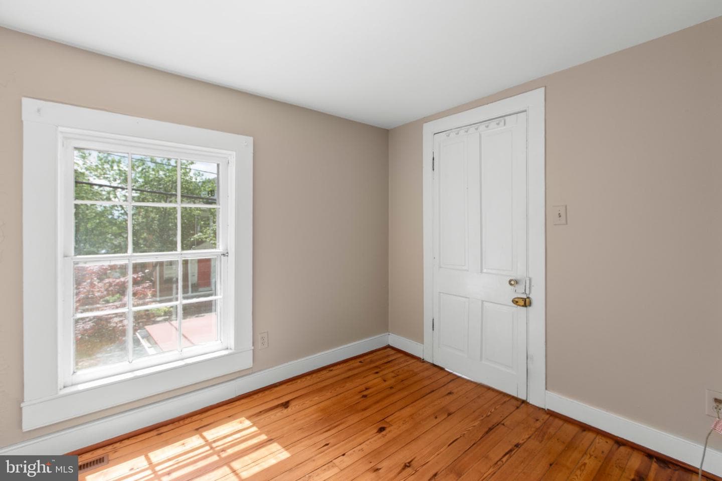 225 Princess Anne Street photo 40