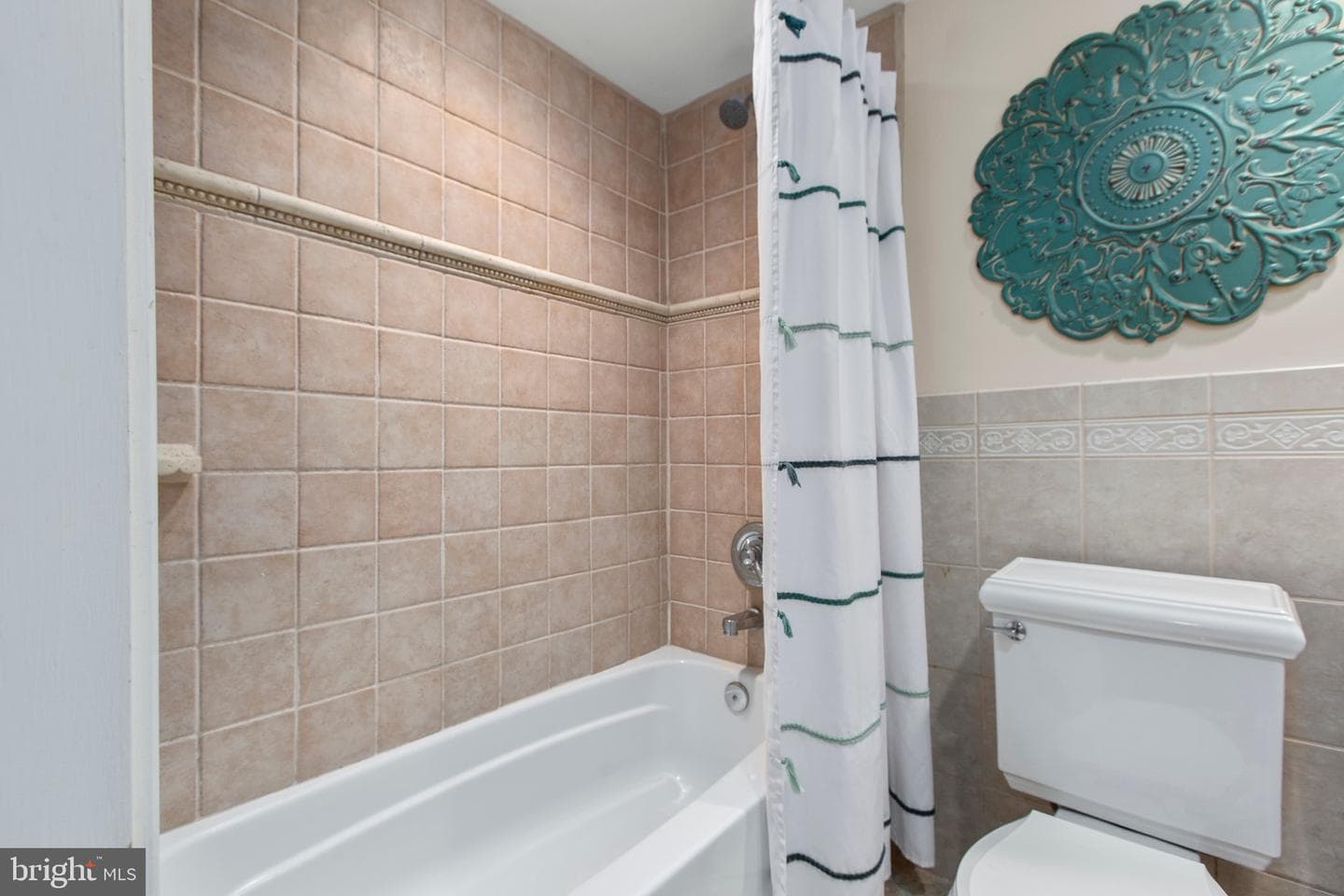 225 Princess Anne Street photo 41