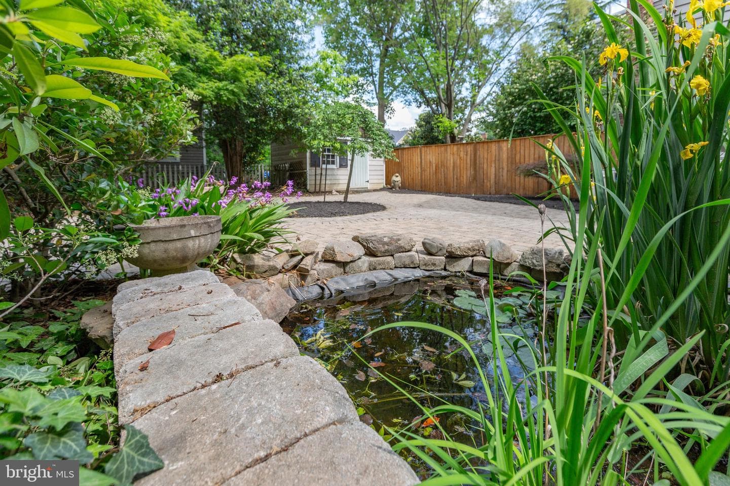 225 Princess Anne Street photo 50