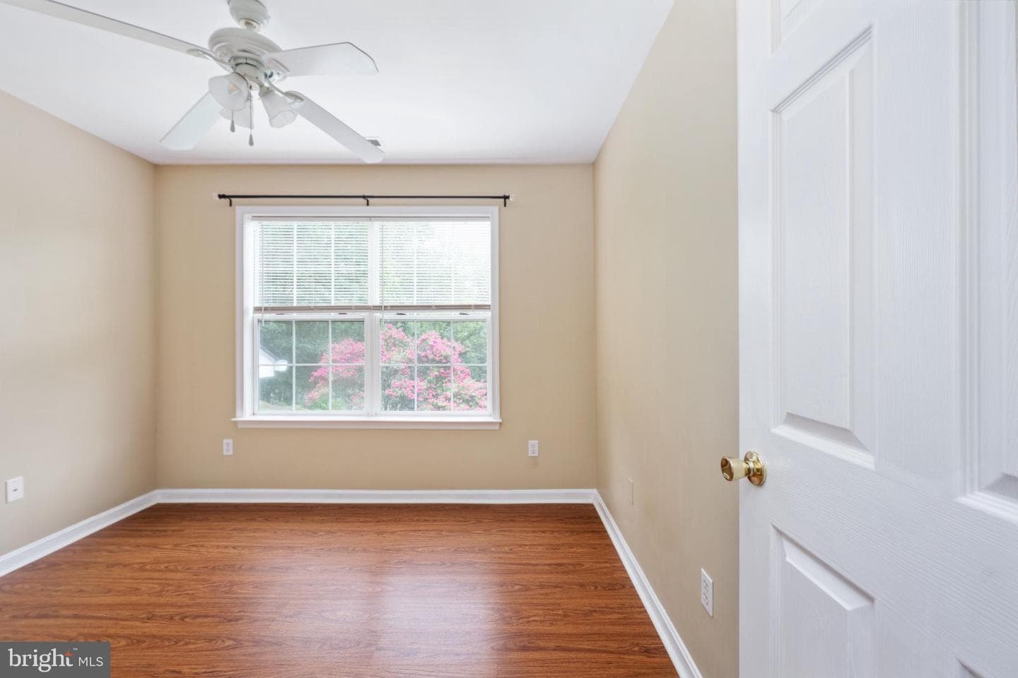 112 Springwood Drive photo 23