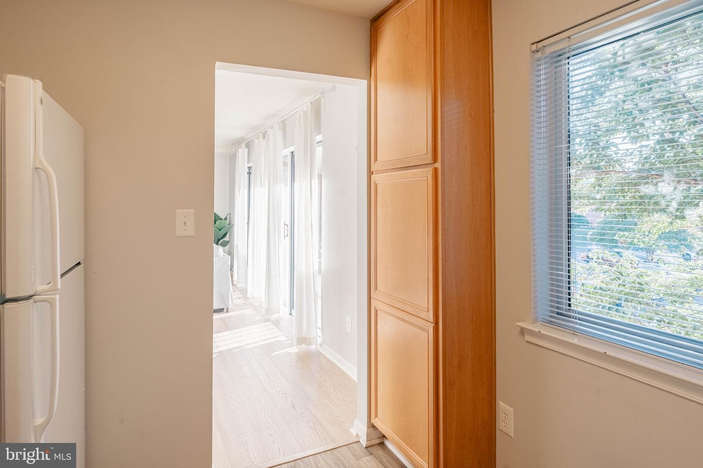 1805 William Street #209c photo 14