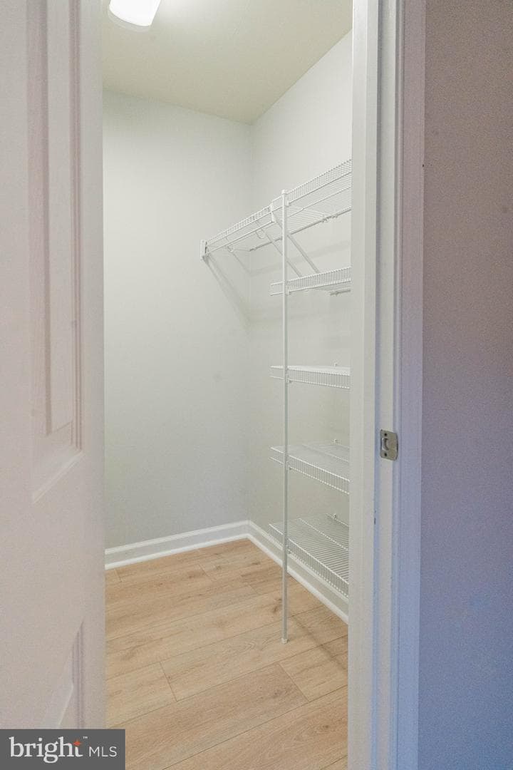 1805 William Street #209c photo 22