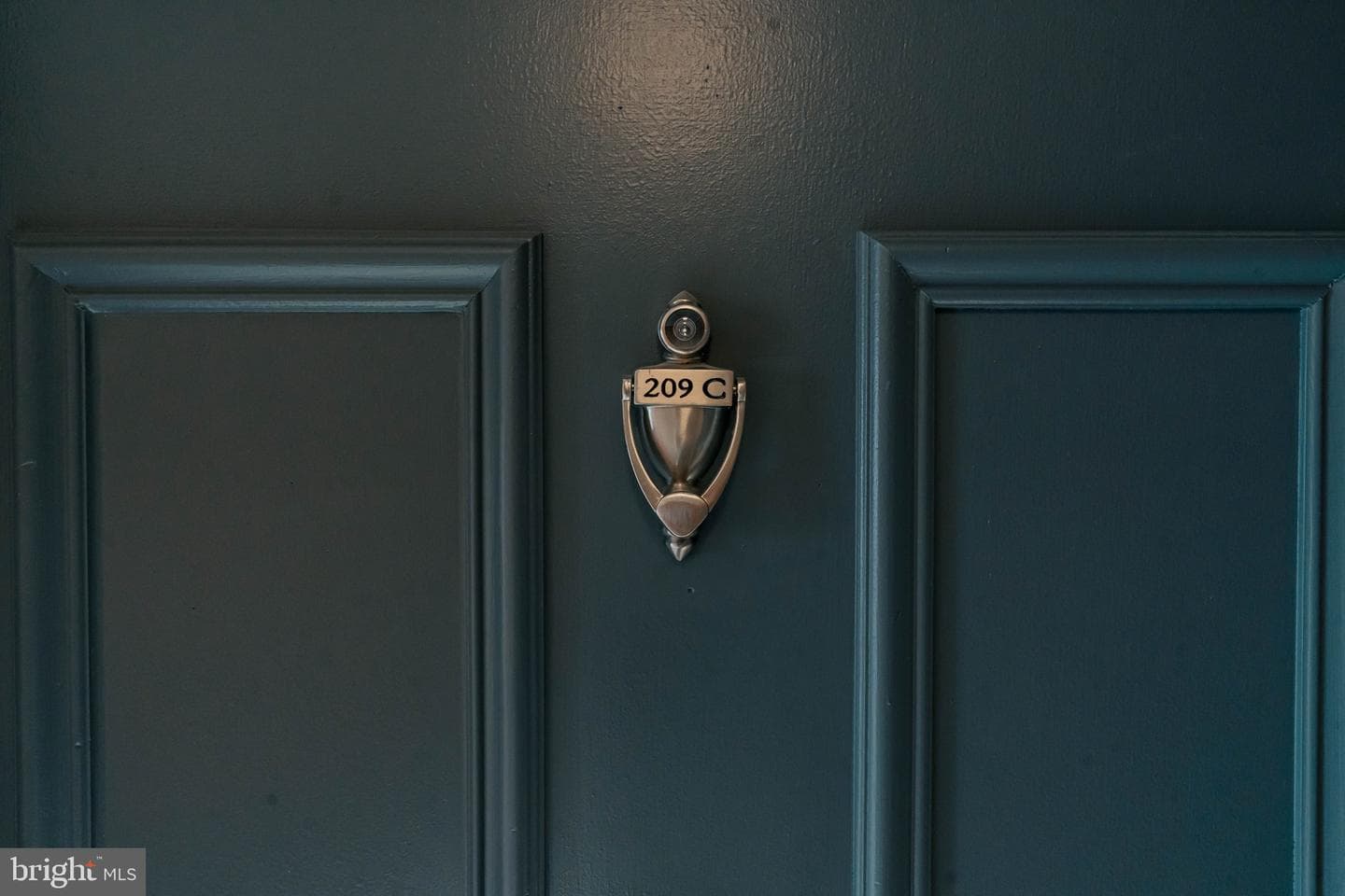 1805 William Street #209c photo 31