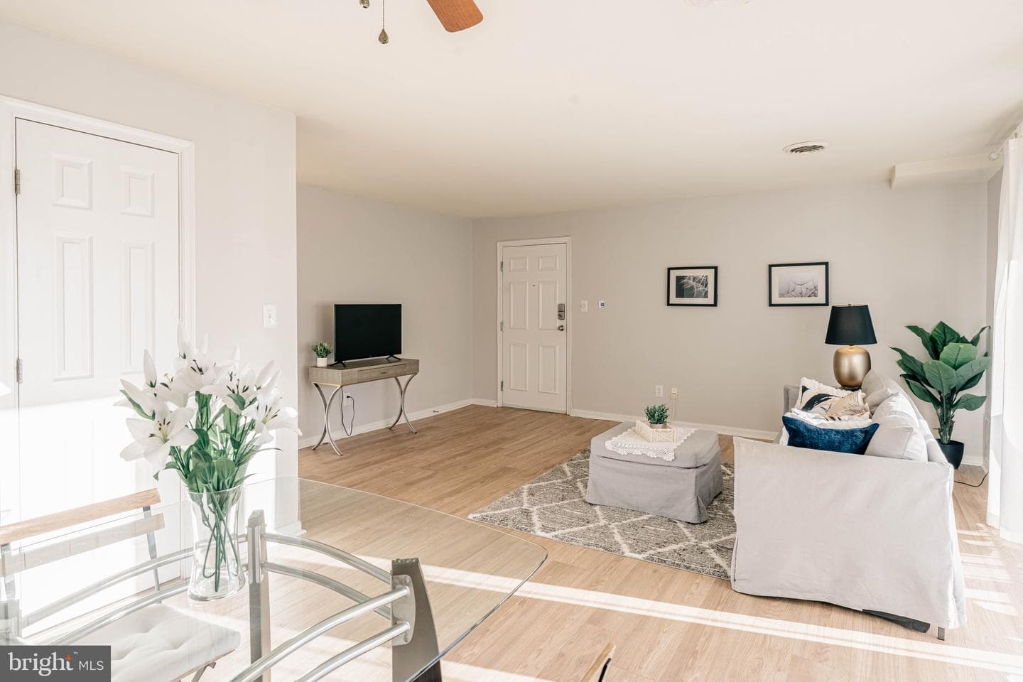 1805 William Street #209c photo 6