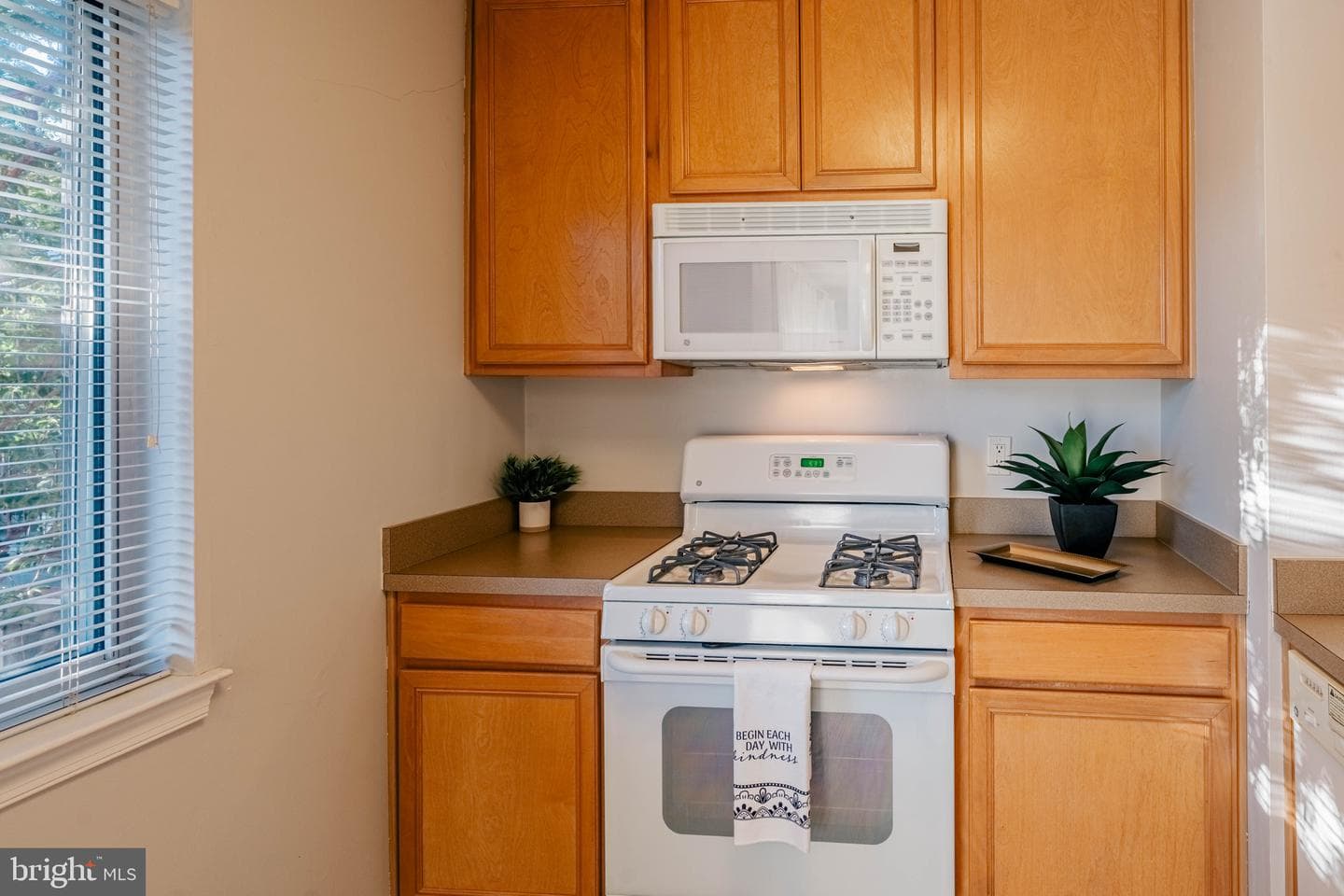 1805 William Street #209c photo 7