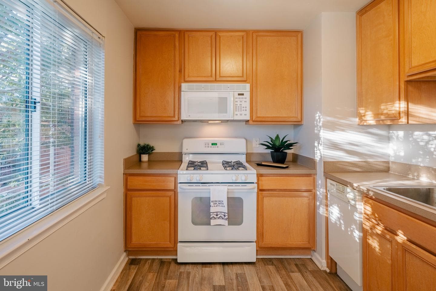 1805 William Street #209c photo 8