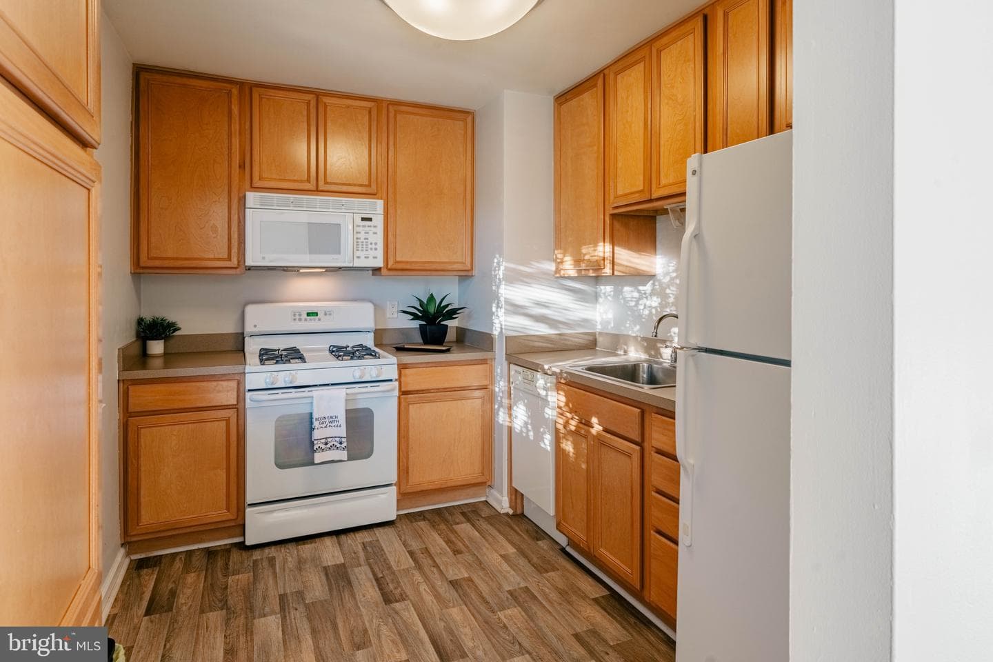 1805 William Street #209c photo 9
