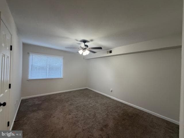 1805 William Street photo 4