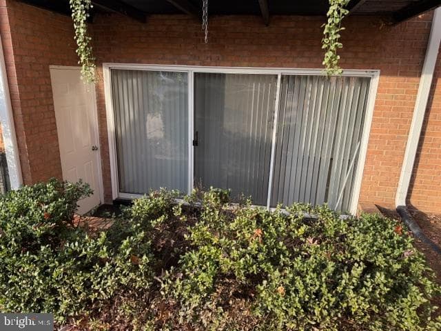 1805 William Street photo 9