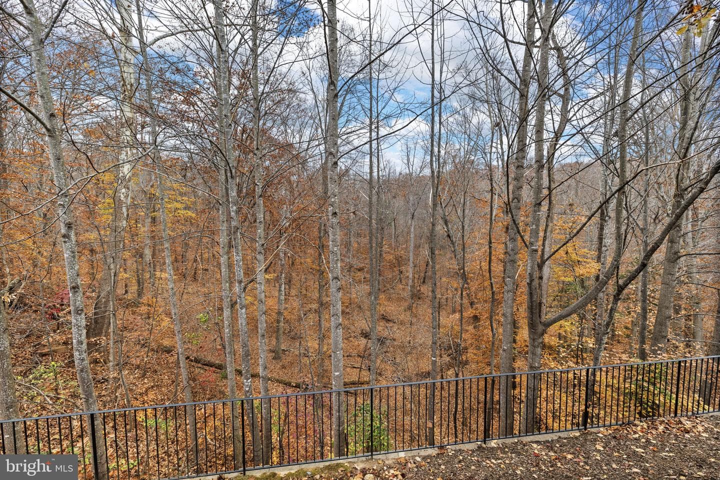 1022 Maureen Drive photo 49