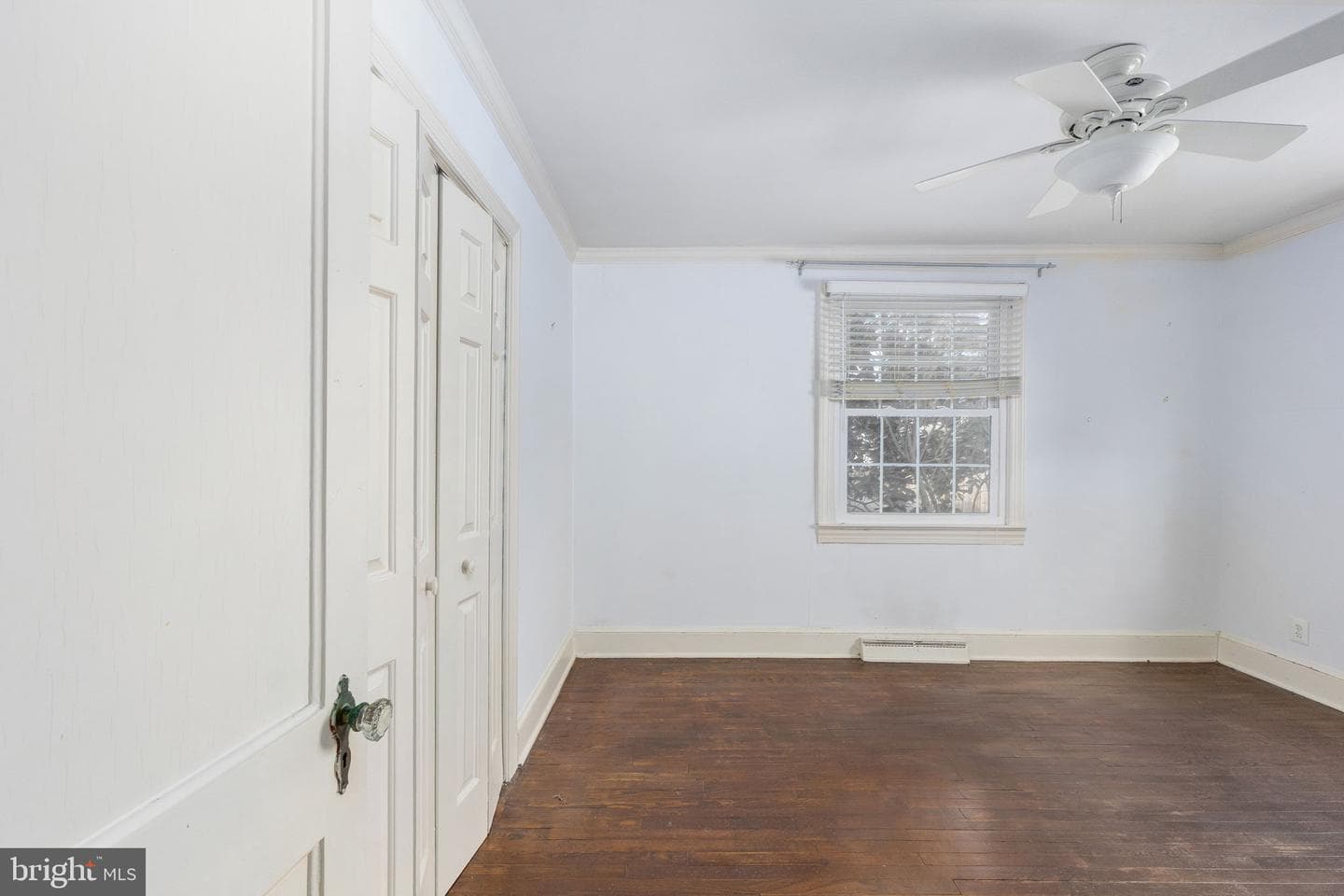 504 Hawke Street photo 26